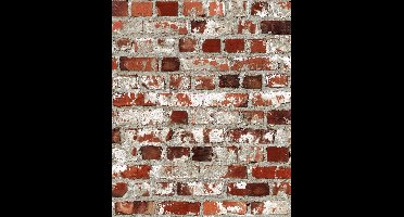 Dutch Wallcoverings papierbehang baksteen