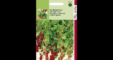 Hortitops Zaden - Aardbeispinazie - Aardbei Melde