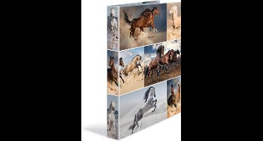 HERMA 19429 map Karton Multi kleuren A4