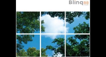 Wolkenplafond LED Paneel - Fotoprint Afbeelding Wolk en Bos - Geprint op 6 Platen - 595x595