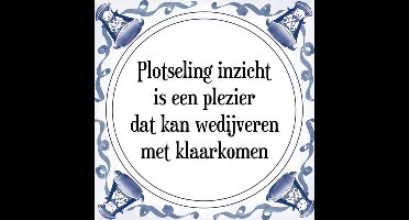 Tegeltje met Spreuk (Tegeltjeswijsheid): Plotseling inzicht is een plezier dat kan wedijveren met klaarkomen + Kado verpakking & Plakhanger