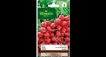 Radijs Ronde Scharlakenrode