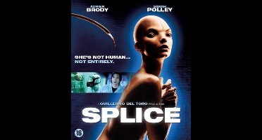Splice