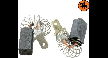 Koolborstelset voor Bosch P 300 - 6,3x8x14mm