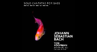 Solo Cantatas For Bass