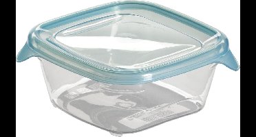 Fresh&Go Vershouddoos Vierkant 0,25L