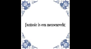 Tegeltje met Spreuk (Tegeltjeswijsheid): Fantasie is een mensenrecht + Kado verpakking & Plakhanger