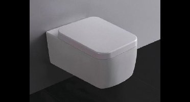 Mueller Larx wandcloset incl. softclose zitting