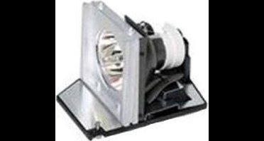 Acer EC.K2700.001 vervangings- lamp voor P7500