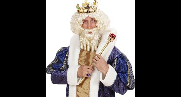 "Witte koningspruik voor mannen - Verkleedpruik - One size"