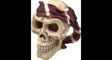SuperFish Skull Red Pirate