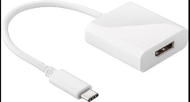 USB-C naar DisplayPort adapter met DP Alt Mode (4K 60 Hz) / wit - 0,15 meter