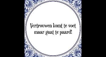 Tegeltje met Spreuk (Tegeltjeswijsheid): Vertrouwen komt te voet maar gaat te paard! + Kado verpakking & Plakhanger