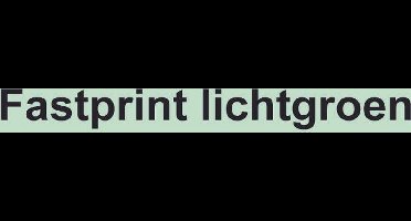 Kopieerpapier Fastprint Lichtgroen A4 120gr