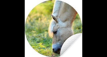 WallCircle - Muurstickers - Behangcirkel - Grazend fjord paard op een zomerse dag - ⌀ 30 cm - Muurcirkel - Zelfklevend - Ronde Behangsticker