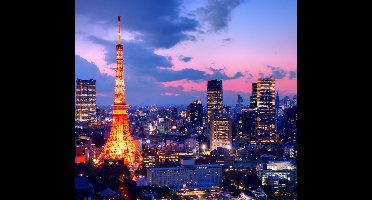 Tokyo Tower in het Park van Shiba Minato in Tokio - Fotobehang (in banen) - 250 x 260 cm