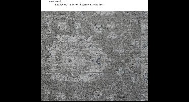 Yann Novak - The Future Is A Forward Escape Into The Past (CD)