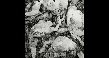 Mono (Jap) - Rays Of Darkness (LP)