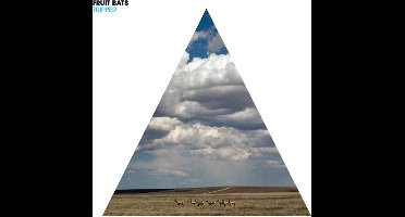 Fruit Bats - Tripper (LP)