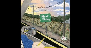 Frankie Cosmos - Next Thing (CD)