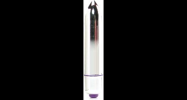 Zilveren Bullet Vibrator