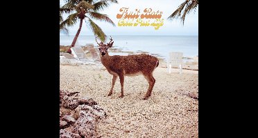 Fruit Bats - Gold Past Life (CD)