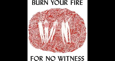 Angel Olsen - Burn Your Fire For No Witness (CD)