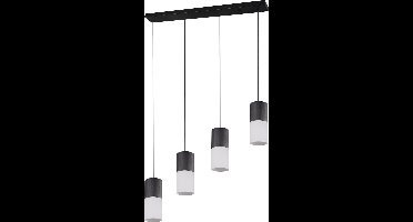 Hanglamp Trio Leuchten Robin - Zwart
