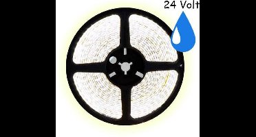 2,5 meter koud wit led strip waterproof - IP65 - 60Leds/m - 24V