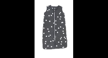 Briljant Baby Winterslaapzak Baby - Spots Iron - Antraciet - Maat 70 - Baby Winter Slaapzak