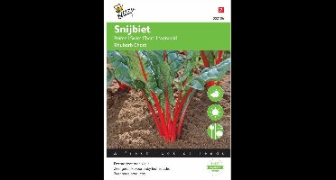 Buzzy® Bieten Red Chard Micro Leaf