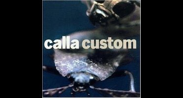 Custom IX Project-