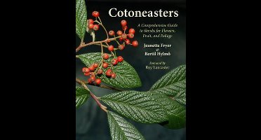 Cotoneasters