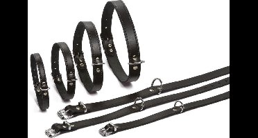 Beeztees - Halsband Hond - Leer - Zwart - 35,5-41,5 cm x 18 mm