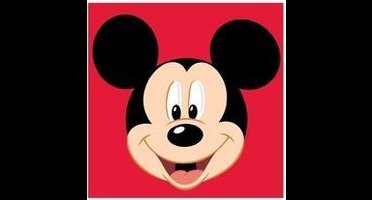 Borduurpakket voorgedrukt Disney Mickey Mouse 2