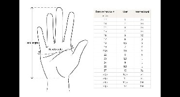 Boland Ellebooghandschoenen Hollywood Dames Zilver