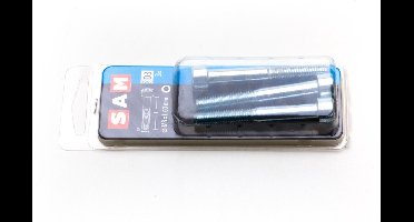 4X SAM 6x60 mm Binnenzeskant Bout D3