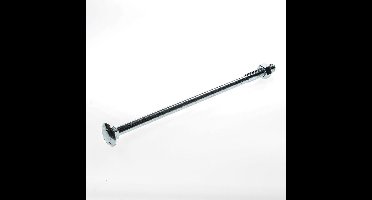 slotbout gegalvaniseerd M12 x 260(15st.)