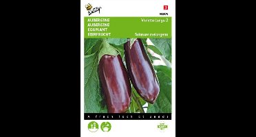 Buzzy® Aubergine Violetta Lunga 2