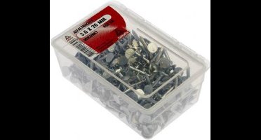 Asfaltnagel verzinkt 3.0x20mm 450 gram kopspijker. DeltafiX