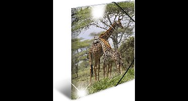 HERMA 19332 map Polypropyleen (PP) Multi kleuren A3