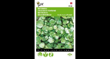 Buzzy Zaden Waterkers - Nasturtium officinalis