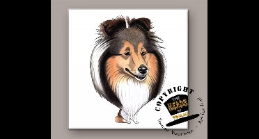 Tegel Hond Shetland Sheepdog