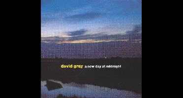 New Day At Midnight - Gray David