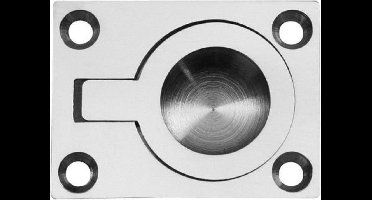 Luikring messing vernikkeld 50 x 38 mm