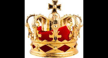 ESPA - Goudkleurige mini kroon op haarclip