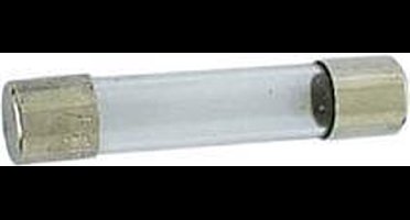ZEKERING 6.35 x 32mm TRAAG 0.8A (10st./doos) (6FU0.8N)