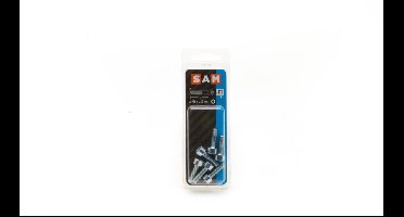 7X SAM Binnenzeskant bout cyl.kop 6x20mm D2 816500