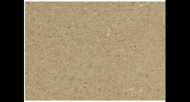 CC Recycled Karton A5 Bruin 125 vel