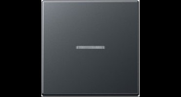 Jung Bedieningselement/Centrale Plaat Schakelmateriaal - A590BFKO5ANM - E365B